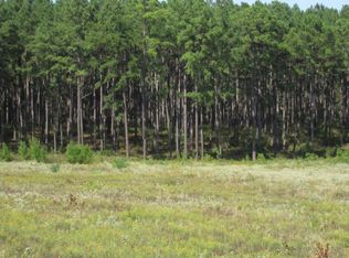 000-21 Fm 256 N, Woodville, TX 75979