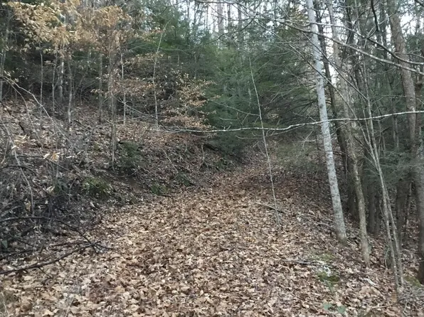 Big Dry Run Rd, Butler, TN 37640