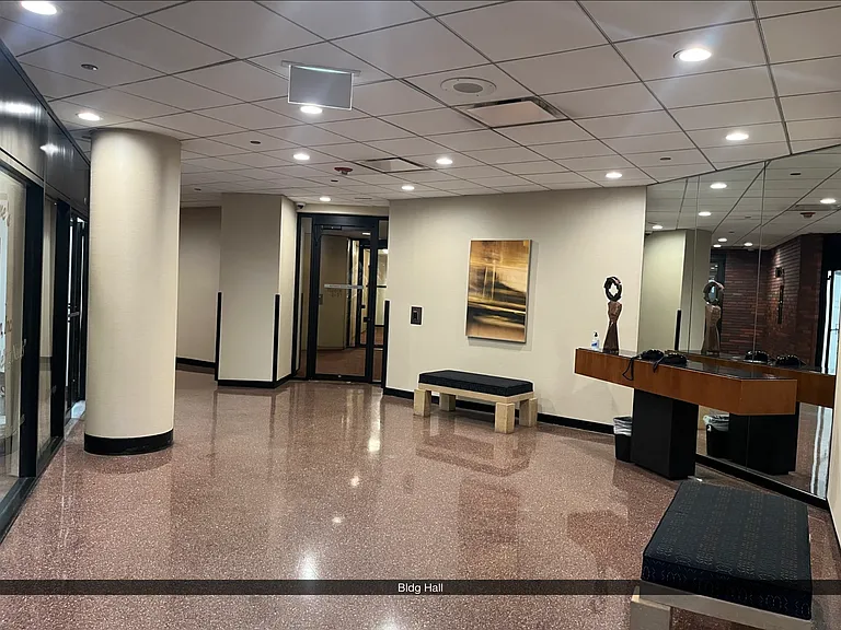 155 N Harbor Dr #4701 — Photo 28