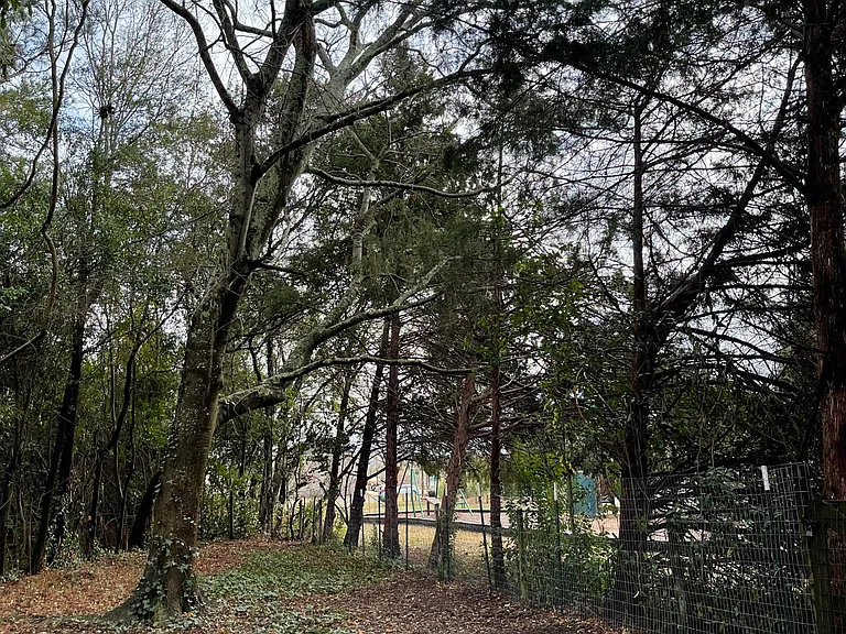 Sizable fenced in back yard