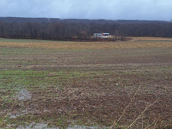 5th image of 5172 Raccoon Valley Rd