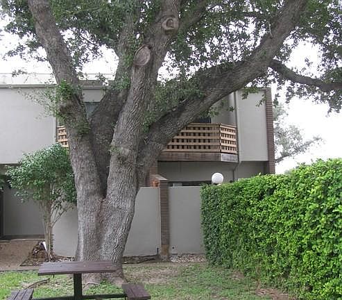 4th image of 1405 N 15th St APT 4