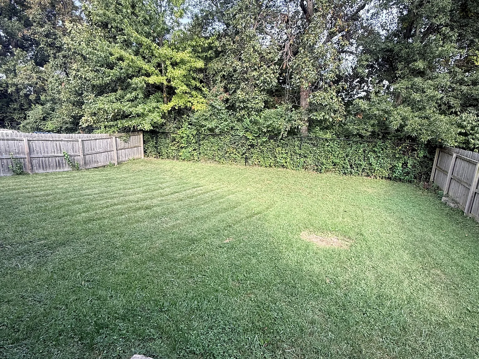 3245 Capsella Lane - 1 — Photo 2