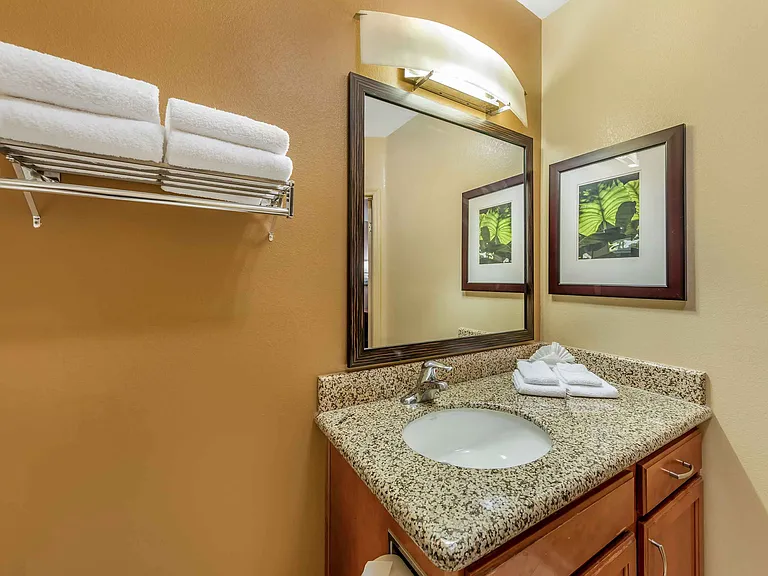Studio Suite - 1 King Bed
