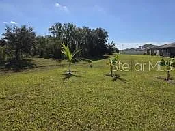 12588 Timber Moss Ln — Photo 13