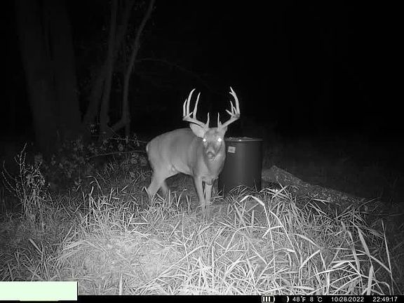 2nd image of 1 Edgerton Junction Rd