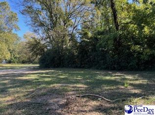 305 Marion Ave, Hartsville, SC 29550