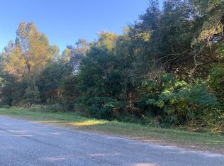 2.43 Mae Dell Cainion Rd, Iron City, GA 39859