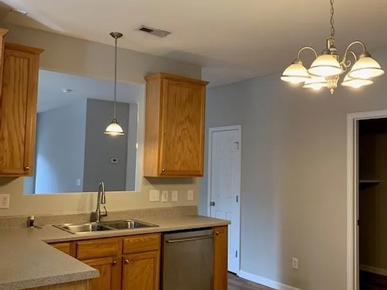 213 Carolina Town Ln — Photo 5