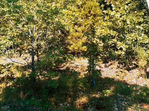 Wahoo Dr, Cherokee Village, AR 72529