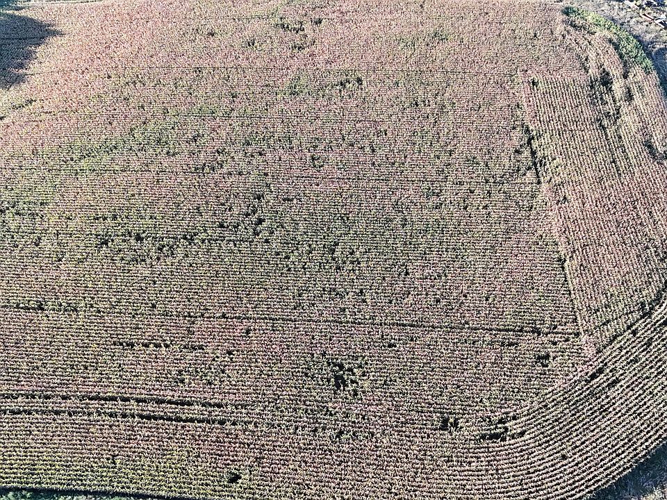 1st image of 301 1/2 Farm Ln