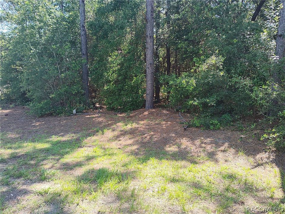 2nd image of 8646 N Buscetta Loop