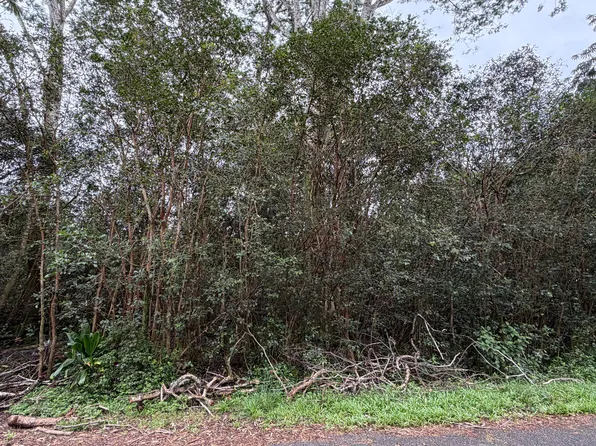 27th Ave Lot 745, Keaau, HI 96749