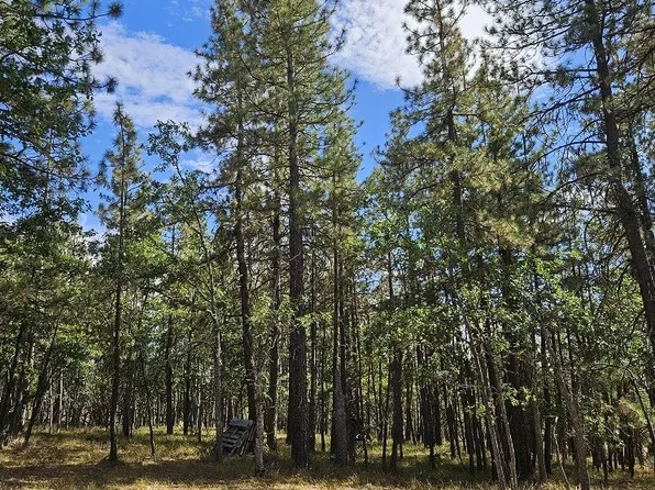 50 Jefferson Vis, Goldendale, WA 98620