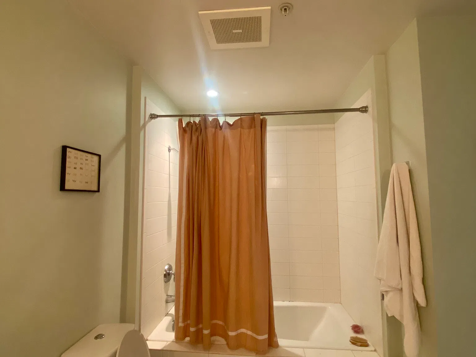 Studio, 807 sqft, $1,800 — Photo 4
