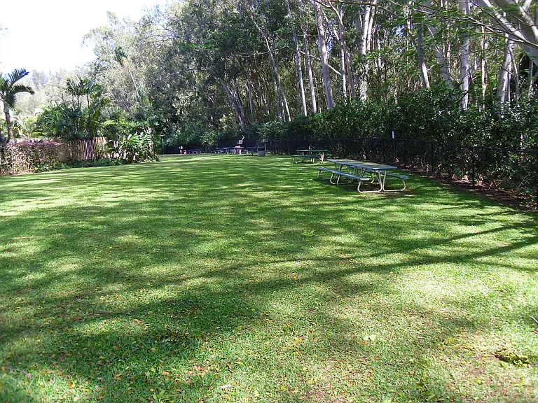 Large picnic area has BBQ Grills and is just outside the Pool area.