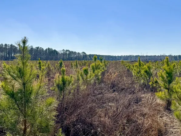 0 Highway 301 #14, Statesboro, GA 30458