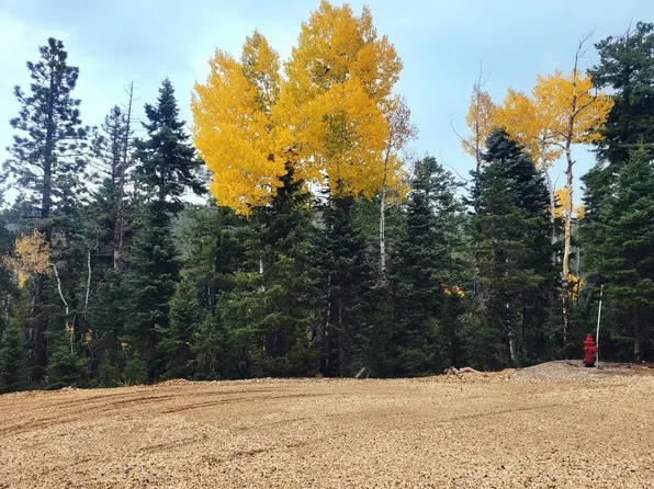 45 S Quakie Pl, Duck Creek Village, UT 84762