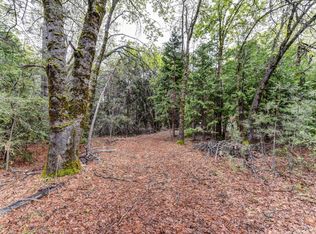 14481 Bobbie Ln, Pioneer, CA 95666