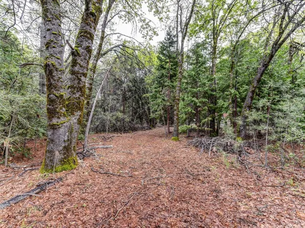 14481 Bobbie Ln, Pioneer, CA 95666