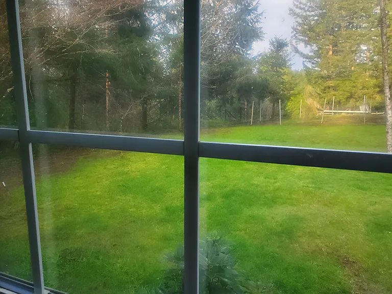 view from the room for rent