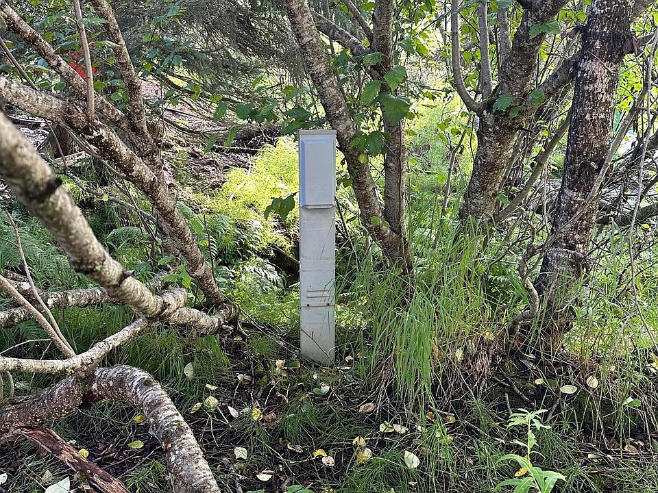 2nd image of 73565 Ann Rd