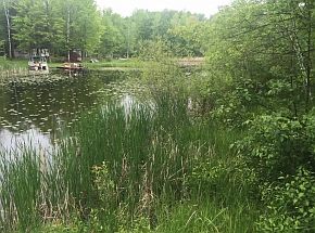 5th image of 10125 Lee Park Lake Ln