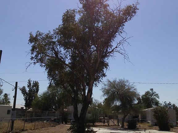 3rd image of 248 N 82nd Pl
