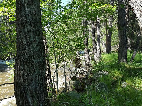 4th image of 3 Hosburg