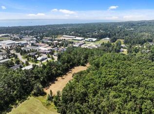 7481 S State Rd, Harbor Springs, MI 49740