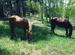 989 Markus Rd, Woodland Park, CO 80863