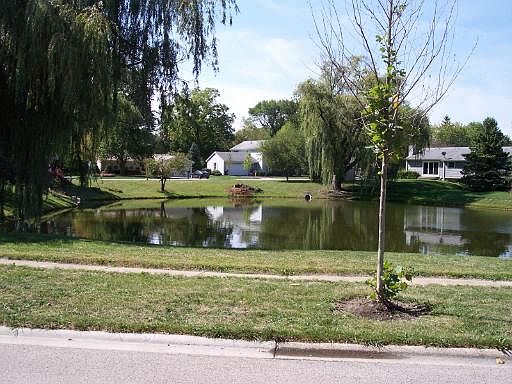 4th image of 10932 Janice Dr