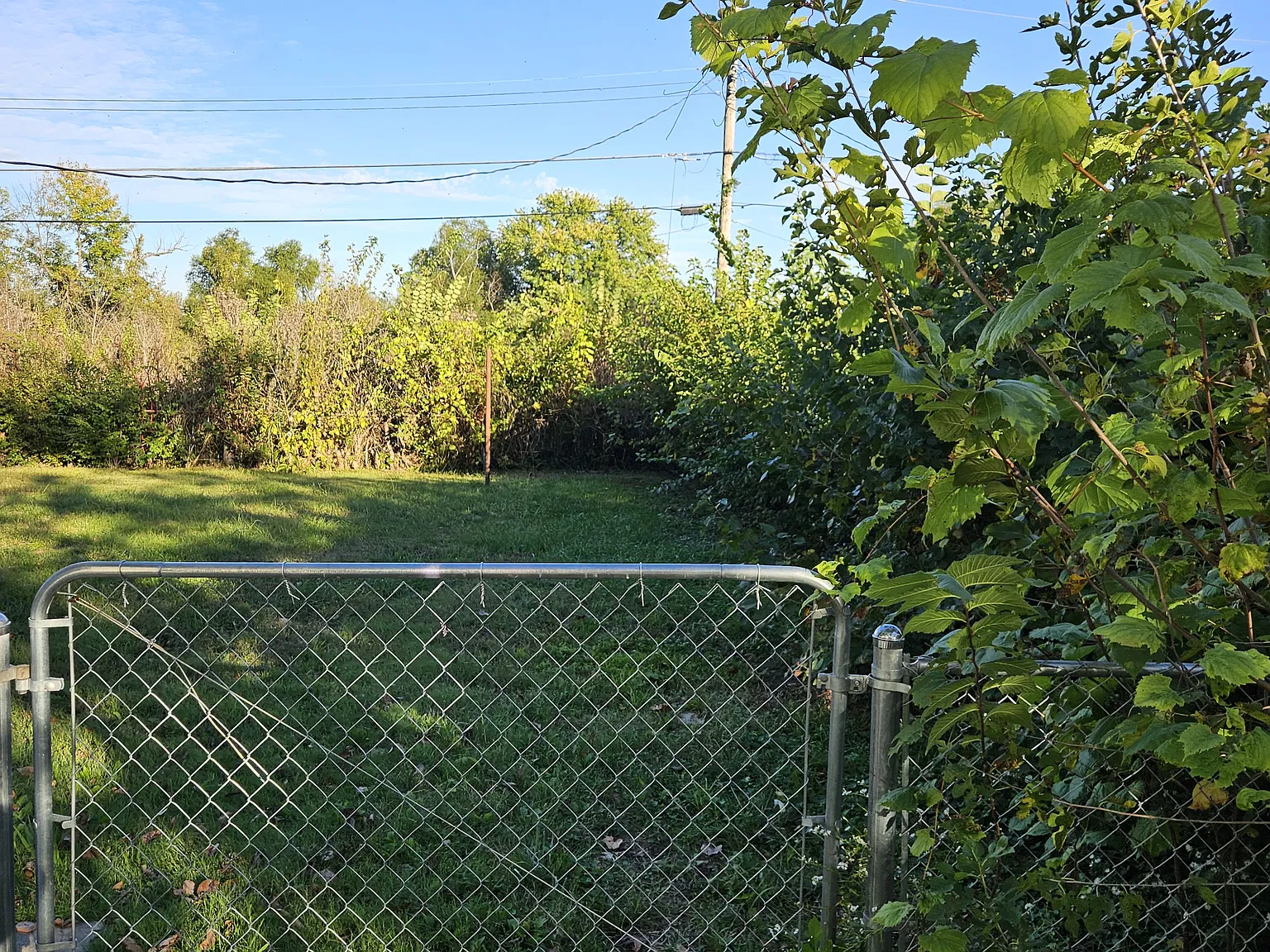 3 bed, 864 sqft, $1,200 — Photo 4