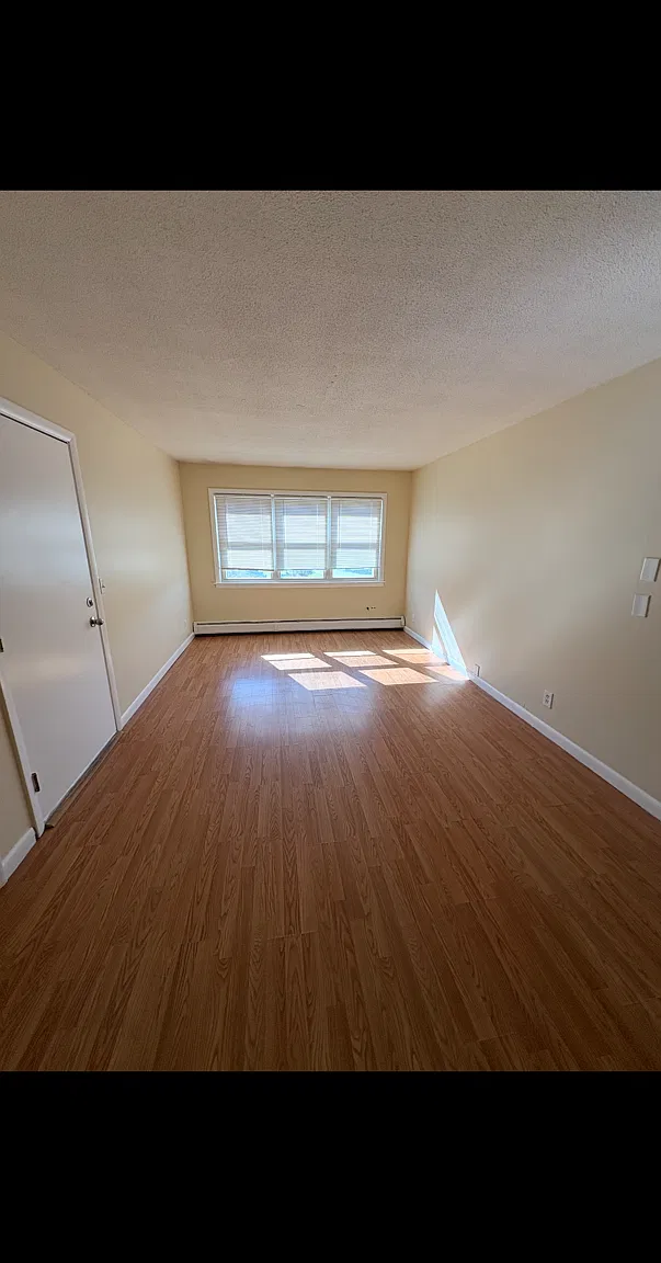 2 bed, $1,650 — Photo 3