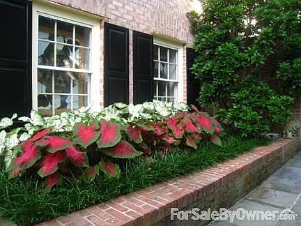 Front elevation, lower level
						:
						walk-out basement planter box. flagstone walkway