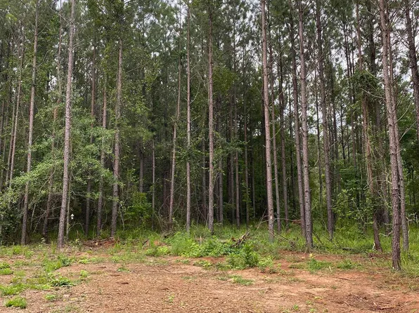 175 Glen Harper Rd, Sparta, GA 31087