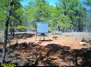 2300 Radio Rd, Lone Star, TX 75668