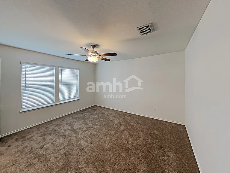 213 Texas Thistle — Photo 10