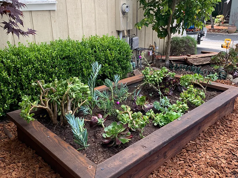 Side yard garden - plant as you like or maintained by owner