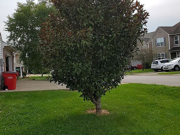 5th image of 129 Hope Dr