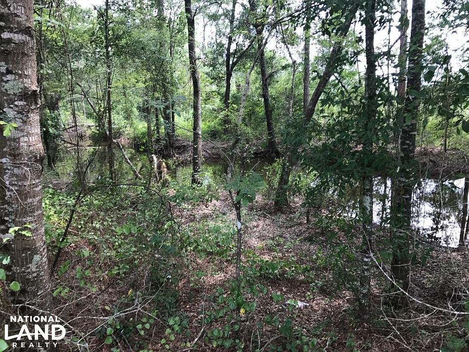 Flowing large creek along property border.  GeorgiaLandForSale