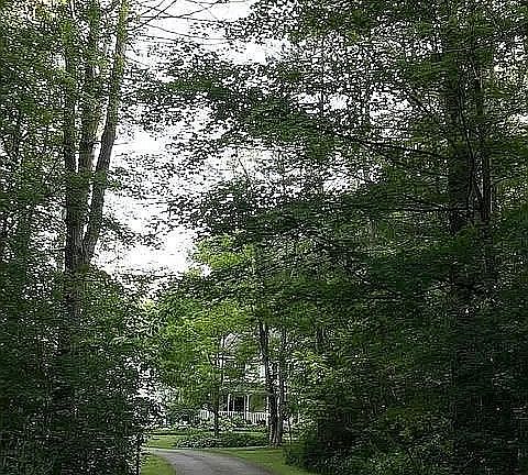 Long, Private Driveway