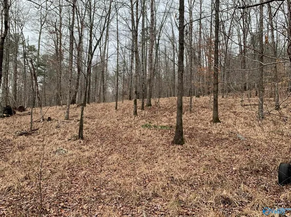 2100 County Road 115, Fort Payne, AL 35967