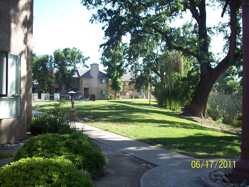 The grounds