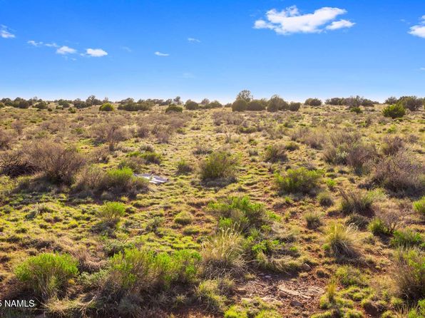 591 S Palmetto Rd, Williams, AZ 86046
