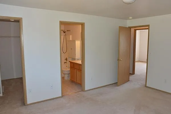Master ensuite full bathroom and walk in closet