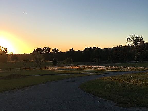 Sunrise