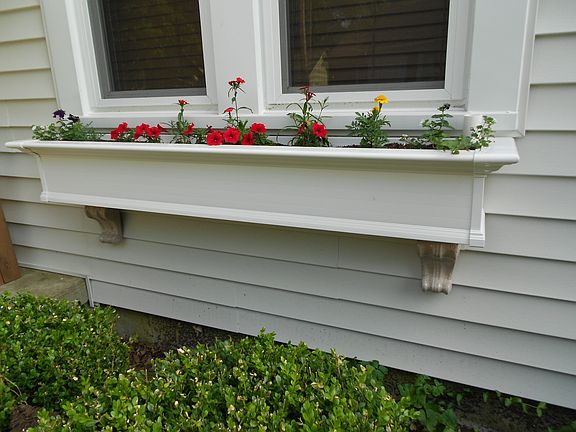 Window box