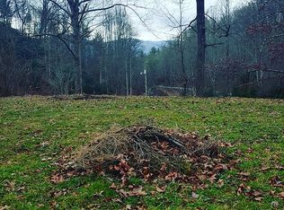 Old Buck Mountain Rd, Roan Mountain, TN 37687