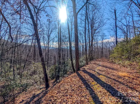 0 Halls Chapel Rd, Burnsville, NC 28714